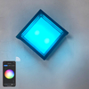 Shell transparente 9W APP Iluminación Acrílico Impermeable IP65 LED Luz de pared para decoración de jardín con precio de fábrica Iluminación de sala de estar