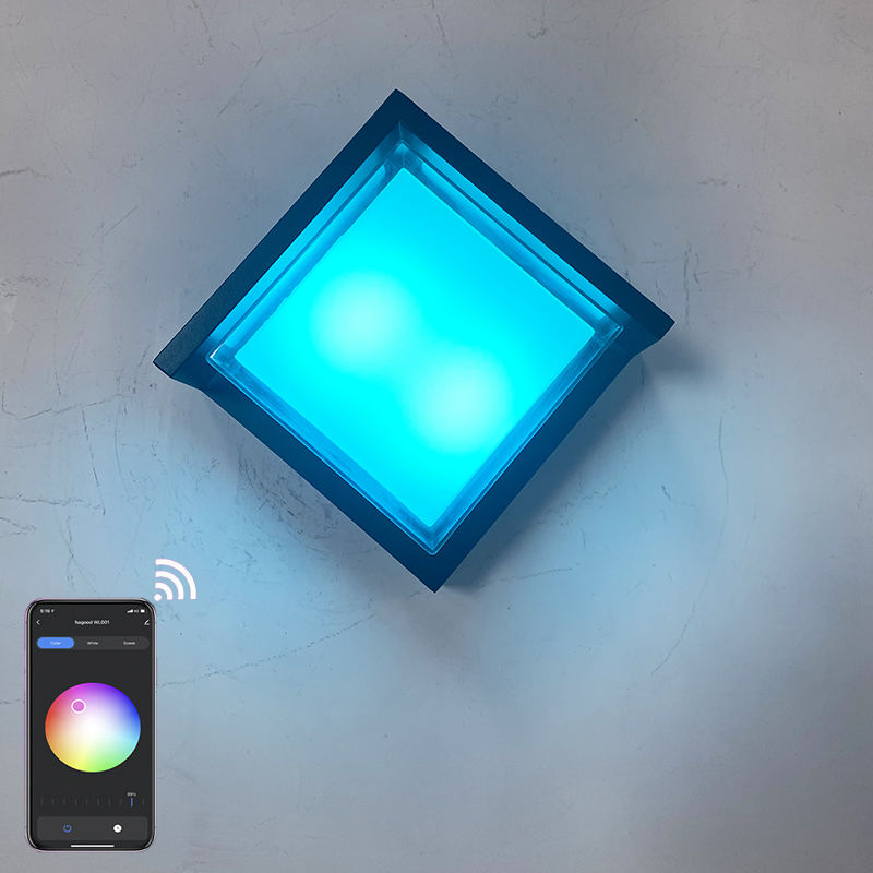 Shell transparente 9W APP Iluminación Acrílico Impermeable IP65 LED Luz de pared para decoración de jardín con precio de fábrica Iluminación de sala de estar