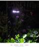 Luz solar montada en la pared impermeable accionada solar al aire libre LED de la alta cerca brillante para el jardín