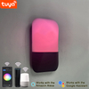 Lámpara de pared con Control por aplicación Tuya de 9W, lámpara de pared inteligente con Control por aplicación, luces Led controladas por aplicación