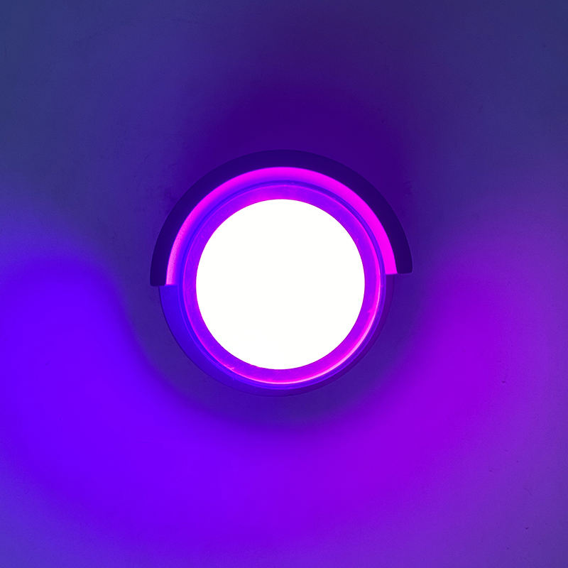 Lámpara de pared Led resistente al agua con carcasa transparente moderna de 5W, decoración para jardín y exteriores, candelabro de iluminación frontal, ambiente de Color brillante