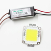 Real Full Watt 10W 20W 30W 50W 100w Chips de lámpara LED COB de alta potencia Bombilla con controlador LED para reflector DIY Spot light Lawn