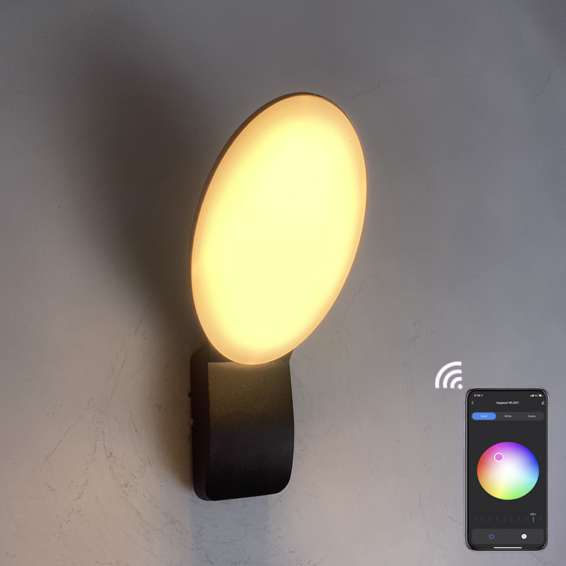 Lámpara de pared inteligente de 9 W, lámparas inteligentes, control de aplicación de luz LED, control de aplicación de luz LED, iluminación controlada por aplicación, aplicación Tuya, lámpara de pared para exteriores, lámpara de pared con control remoto para teléfono móvil