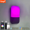 Lámpara de pared con Control por aplicación Tuya de 9W, lámpara de pared inteligente con Control por aplicación, luces Led controladas por aplicación