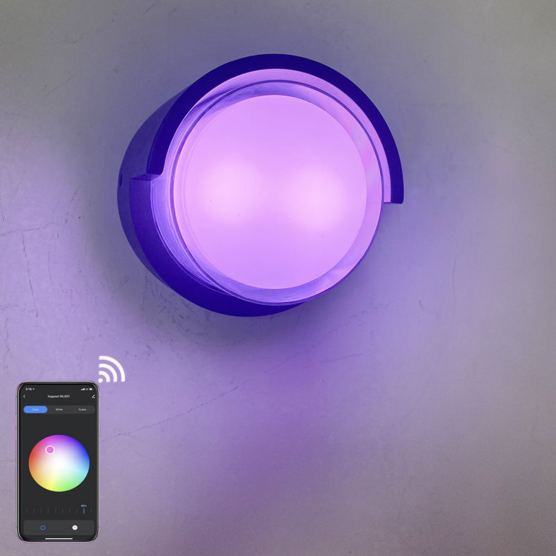 Luz de pared impermeable de acrílico con iluminación de aplicación de 9W de carcasa transparente redonda para decoración de jardín con iluminación de habitación a precio de fábrica