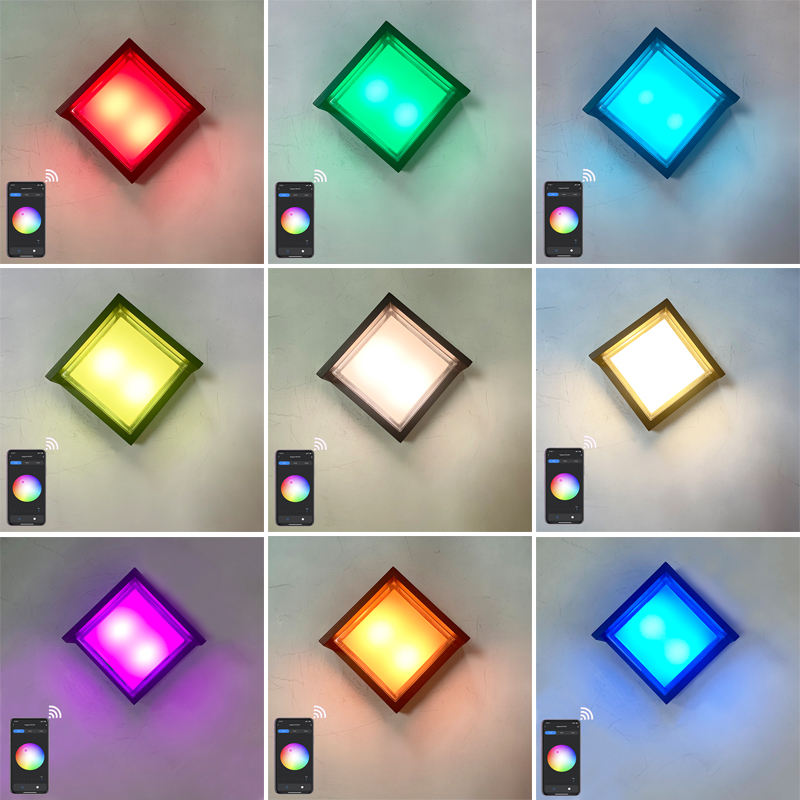 Shell transparente 9W APP Iluminación Acrílico Impermeable IP65 LED Luz de pared para decoración de jardín con precio de fábrica Iluminación de sala de estar