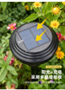 Luz solar para jardín, lámpara alimentada por energía Solar, iluminación de paisaje, impermeable, IP65, camino, patio, decoración de césped, LED para exteriores