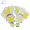 Súper 10W 20W 30W 50W 100W LED Integrado Bombilla LED de alta potencia Blanco / blanco cálido EPISTAR COB Chips lámparas led