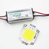 Real Full Watt 10W 20W 30W 50W 100w Chips de lámpara LED COB de alta potencia Bombilla con controlador LED para reflector DIY Spot light Lawn