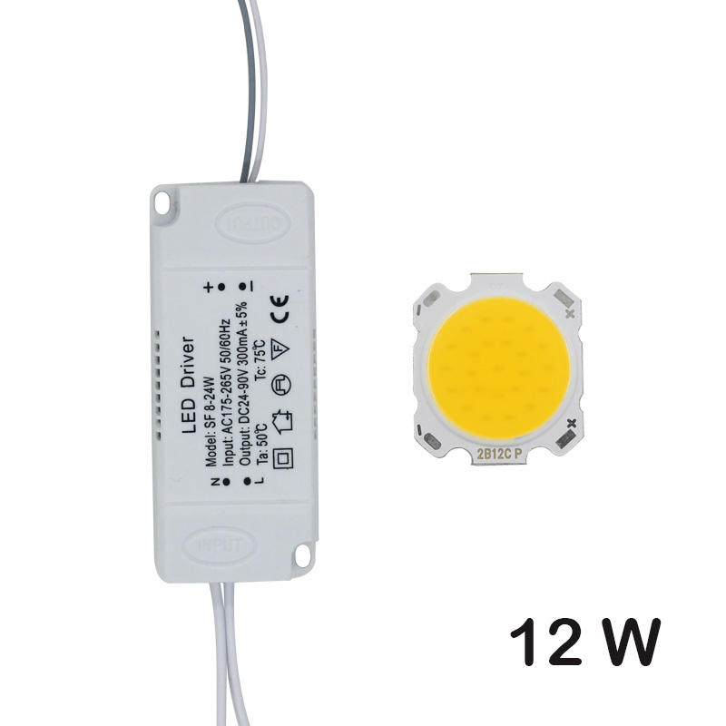 Cuenta de lámpara LED COB, Chip de fuente de luz de 10W-30W + adaptador de fuente de alimentación del controlador LED, blanco frío/cálido/natural para foco LED diy
