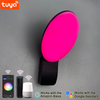 Lámpara de pared inteligente de 9 W, lámparas inteligentes, control de aplicación de luz LED, control de aplicación de luz LED, iluminación controlada por aplicación, aplicación Tuya, lámpara de pared para exteriores, lámpara de pared con control remoto para teléfono móvil