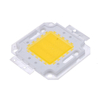 Real Full Watt 10W 20W 30W 50W 100w Chips de lámpara LED COB de alta potencia Bombilla con controlador LED para reflector DIY Spot light Lawn