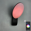Lámpara de pared inteligente de 9 W, lámparas inteligentes, control de aplicación de luz LED, control de aplicación de luz LED, iluminación controlada por aplicación, aplicación Tuya, lámpara de pared para exteriores, lámpara de pared con control remoto para teléfono móvil
