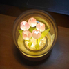Luz de noche de tulipán hecha a mano, película termorretráctil, Material DIY, flor Artificial, luz de noche de tulipán, decoración del hogar, regalo para Gitlfriend
