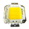 Real Full Watt 10W 20W 30W 50W 100w Chips de lámpara LED COB de alta potencia Bombilla con controlador LED para reflector DIY Spot light Lawn